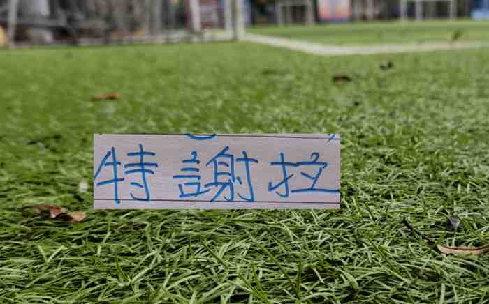 申花10号特谢拉从2023赛季以来
